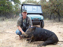 Texas Wild Hog Hunting